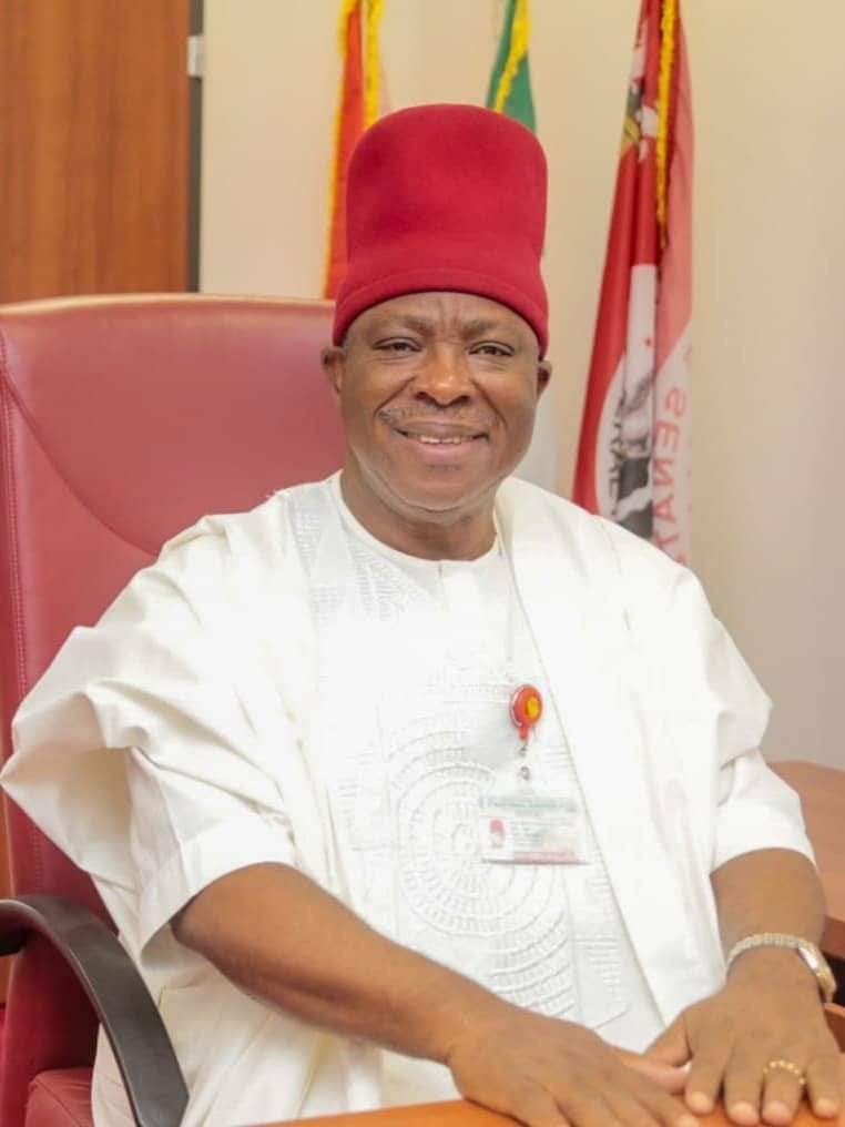 Court orders seizure of Anambra senator’s assets over N135.7m debt