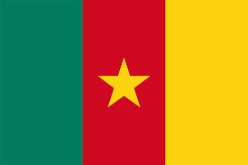 Cameroonian govt detains 6 Nigerian professors over ‘treason’