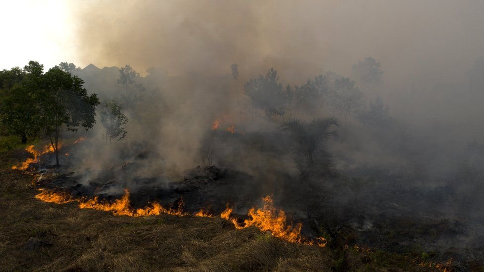 2019 Indonesia fires burnt 1.6m hectares of land – Analysis