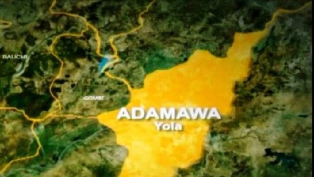 Man machetes 2 children to death in Adamawa