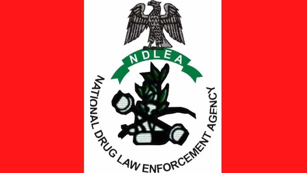 NDLEA arrest 105 suspects, seize 505.343Kg of drugs in Kaduna